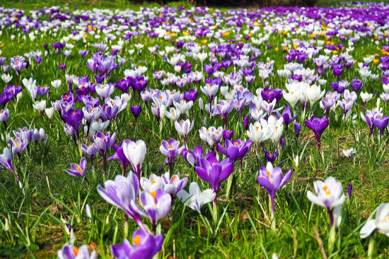 Fruehling ueberall - Frohe Ostern