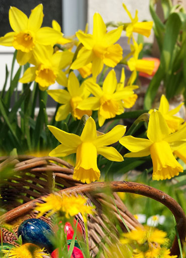 Ostern in unserer Siedlung