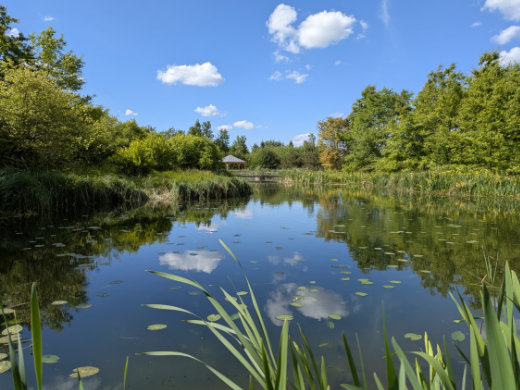 Im Forstbotanischen Garten Tharandt