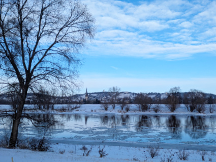 Winter an der Elbe